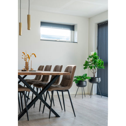 Middelfart Eetkamerstoel - Set van 2 Eetkamerstoelen, microvezel, lichtbruin, zwarte poten HN1281