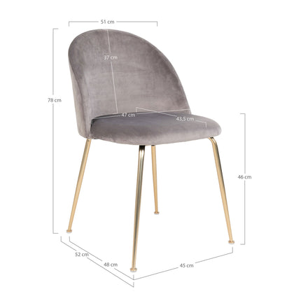 Geneve Eetkamerstoel - Set van 2 Eetkamerstoelen, fluweel, grijs, poten in messinglook HN1213