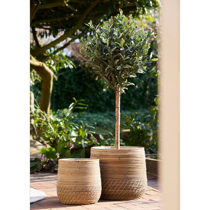Moro Baskets - Manden, kubu rattan, naturel set van 2