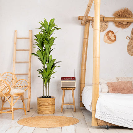 Agave kunstplant Deluxe 170 cm