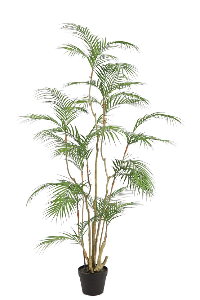 Tropische Areca palm kunstplant 160 cm