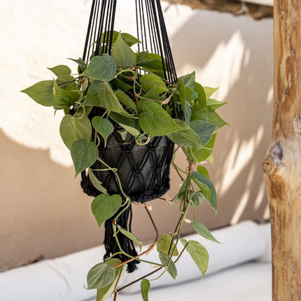 De macramé plantenhouder - zwart - L