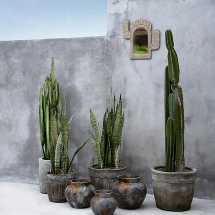 De Cactus Schelpspiegel - Wit
