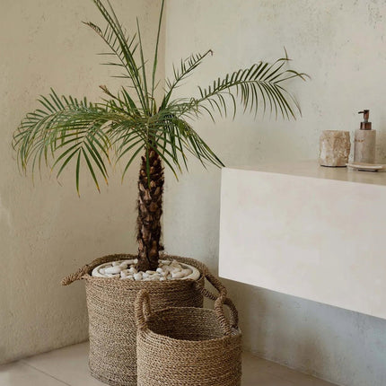 De Sensity-manden - Naturel - XL