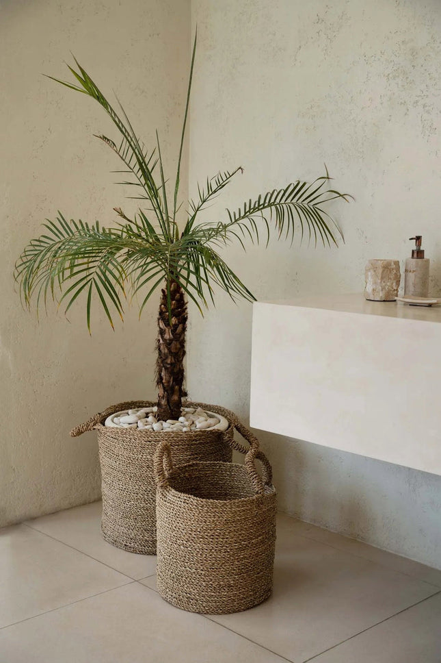 De Sensity-manden - Naturel - XL