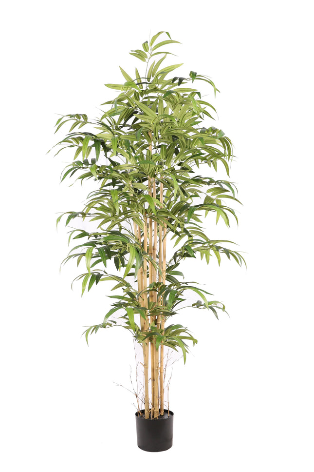 Bamboe Japanese kunstplant 180cm