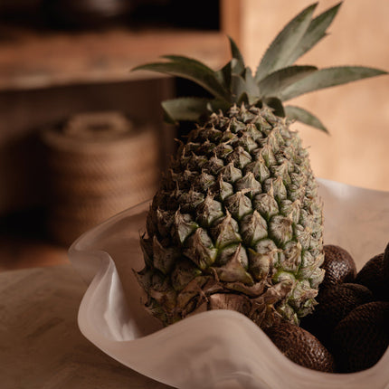 De organische fruitschaal van hars - roze-wit