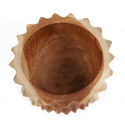 De teakwortel duriankom - S