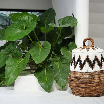 The Little Bay Strandmand - Natuurlijk Wit - M