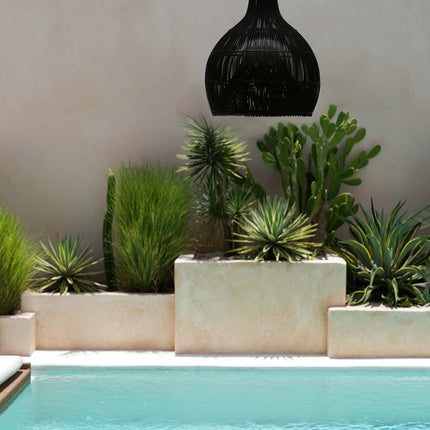 De Kreeftenval-hanger - Zwart - L