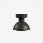Moss Green / Short