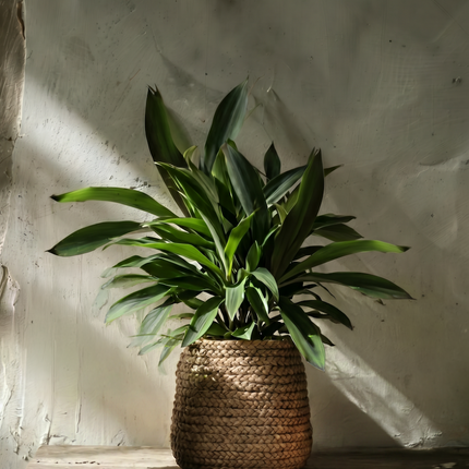 Imitatie gevlochten plantenmand - naturel - L