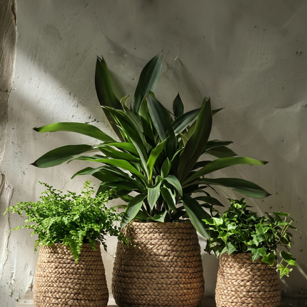 Imitatie gevlochten plantenmand - naturel - L