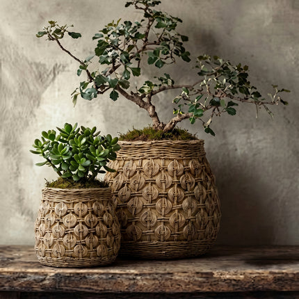 The Knot betonnen plantenbak - L