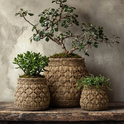 The Knot betonnen plantenbak - L