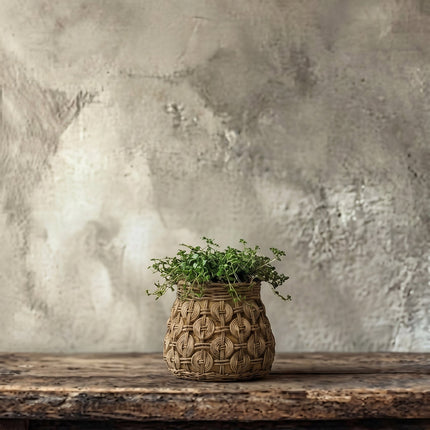 The Knot betonnen plantenbak - M