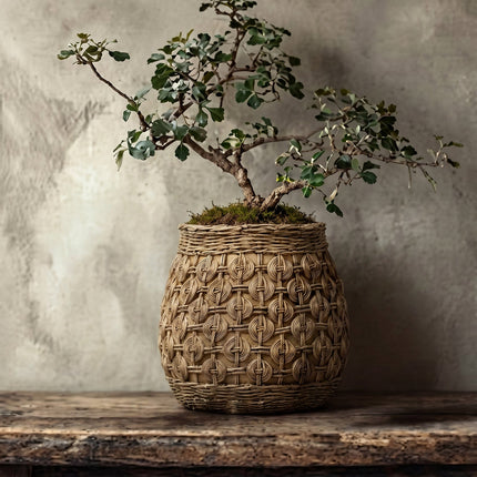 The Knot betonnen plantenbak - XL