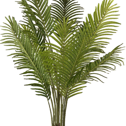 Kunstplant Palm Phoenix 160 cm
