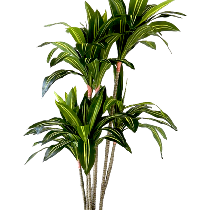 Kunstplant Dracaena Fragnans 150cm