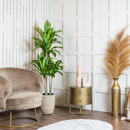 Kunstplant Dracaena Fragnans 150cm