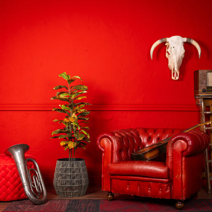 Kunstplant Ficus 120cm