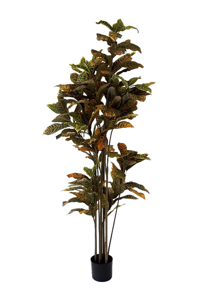 Ficus Deluxe kunstplant 180 cm