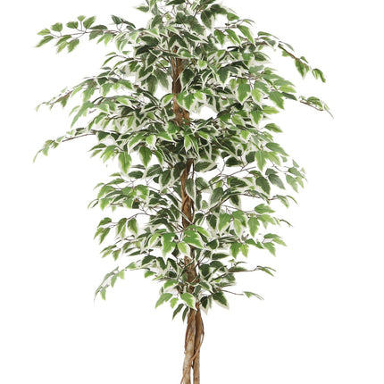Kunstplant Ficus groen 160cm
