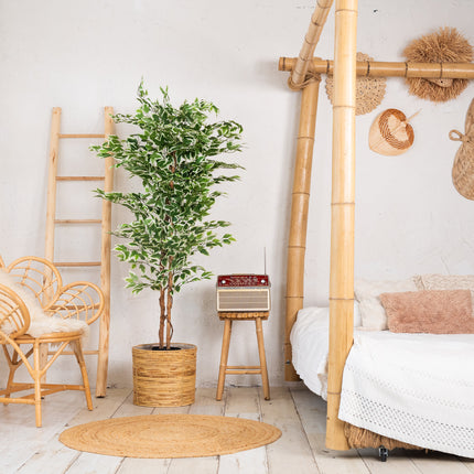 Kunstplant Ficus groen 160cm