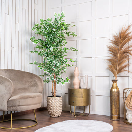 Kunstplant Ficus groen 160cm