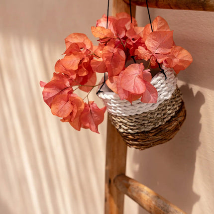 De hanger voor bananenplant - natuurwit - S