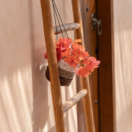 De hanger voor bananenplant - natuurwit - S