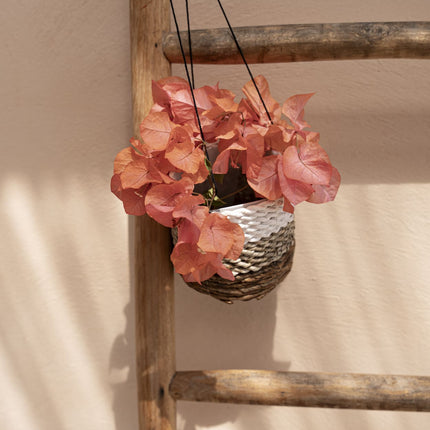 De hanger voor bananenplant - natuurwit - S