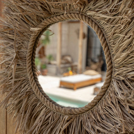 De Haïti-spiegel - naturel