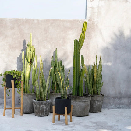 De Houtskool Laag - Zwart naturel - S