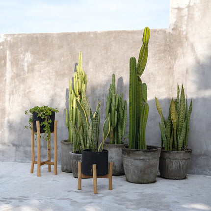De Houtskool Laag - Zwart naturel - S