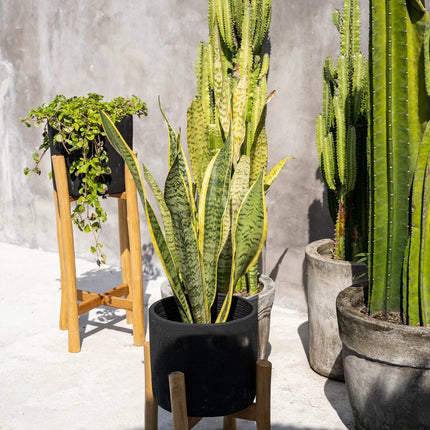 De Houtskool Laag - Zwart naturel - S