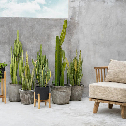 De Houtskool Laag - Zwart naturel - S