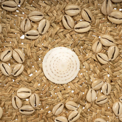 De Caribe Schelpenbord - Natuurlijk Wit - M