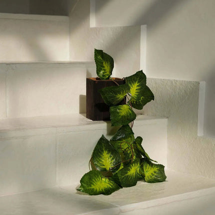 De Bondi-houder nr. 2 - vierkant