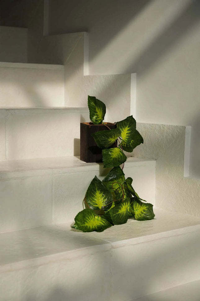 De Bondi-houder nr. 2 - vierkant