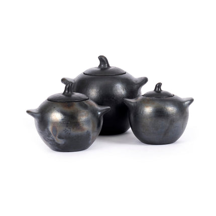 De verbrande pot - S
