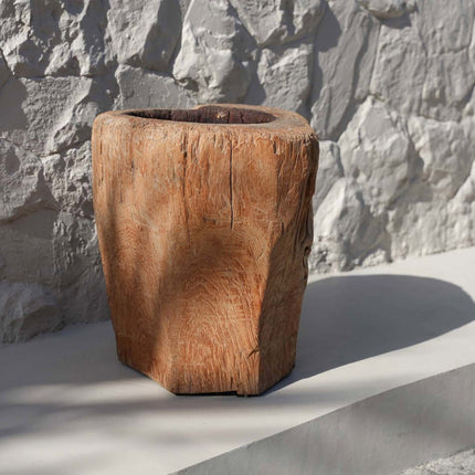 De kaarsstam - naturel