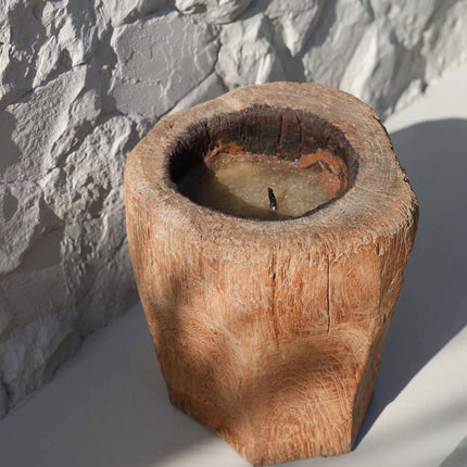 De kaarsstam - naturel