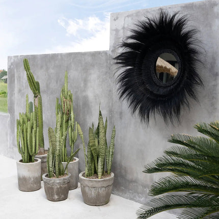 De Spiegel van het Verzonken Woud - Zwart