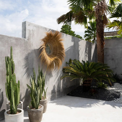 De spiegel van het verzonken bos - naturel