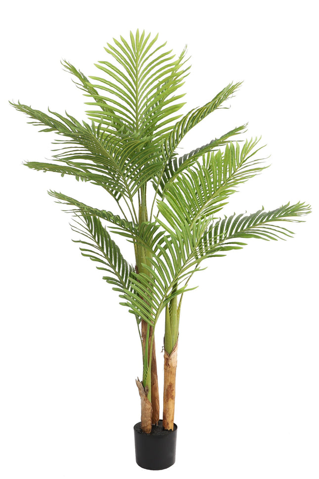 Kentia palm kunstplant 170 cm - Tropisch design voor binnen