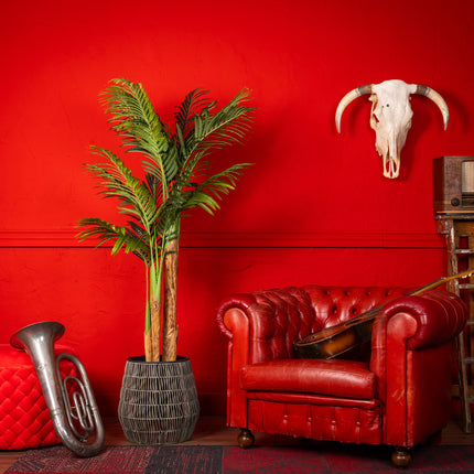 Kentia palm kunstplant 170 cm - Tropisch design voor binnen