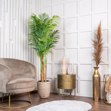 Kentia palm kunstplant 170 cm - Tropisch design voor binnen
