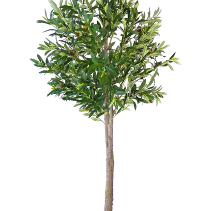 Kunst olijfboom 160cm