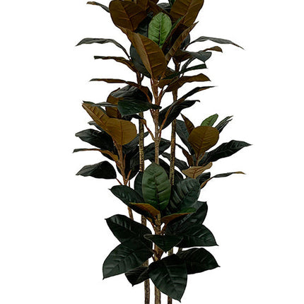 Rubberboom kunstplant 160 cm - Ficus elastica met 3 stammen